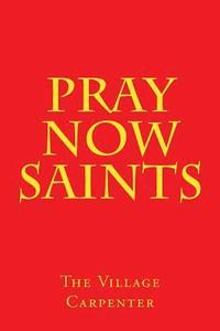 bokomslag Pray Now Saints