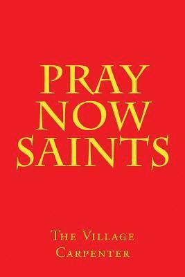 bokomslag Pray Now Saints