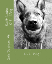 bokomslag Salt Lake City Dog: SLC Dog