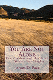 James D. Pace - You Are Not Alone: Erv Shabbat to Havdalah ... Siddur For Singles, Häftad