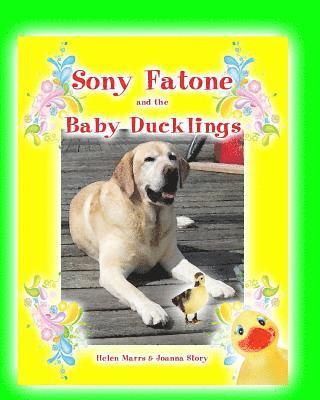 bokomslag Sony Fatone and the Baby Ducklings: Sony Fatone Saves The Baby Ducks