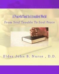 bokomslag A Peaceful Soul In A troubled World: From Soul Trouble To Soul Peace