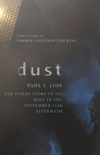 bokomslag Dust