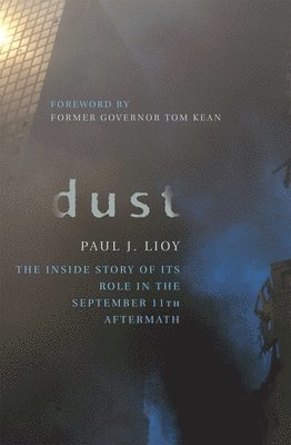 bokomslag Dust