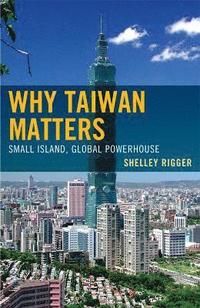bokomslag Why Taiwan Matters