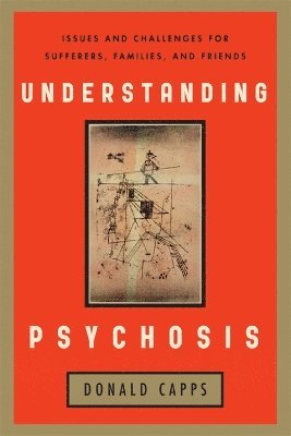 bokomslag Understanding Psychosis