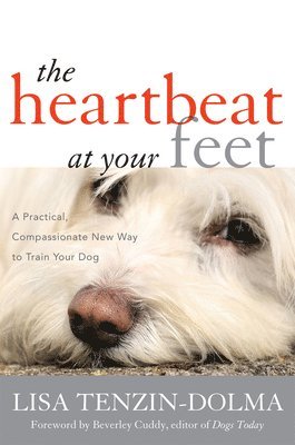 The Heartbeat at Your Feet 1