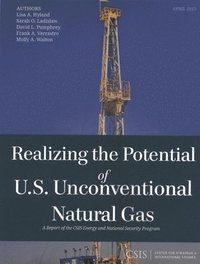 bokomslag Realizing the Potential of U.S. Unconventional Natural Gas