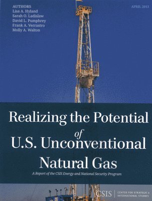 bokomslag Realizing the Potential of U.S. Unconventional Natural Gas