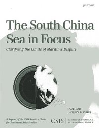 bokomslag The South China Sea in Focus