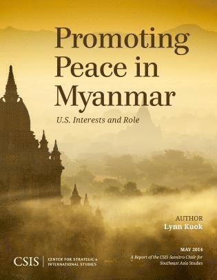 bokomslag Promoting Peace in Myanmar