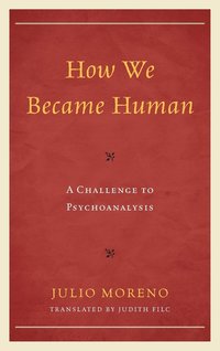 bokomslag How We Became Human