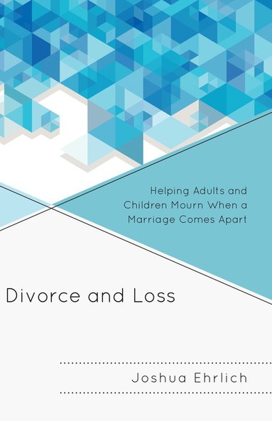 bokomslag Divorce and Loss