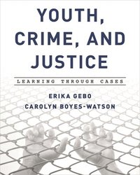 bokomslag Youth, Crime, and Justice