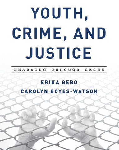 bokomslag Youth, Crime, and Justice