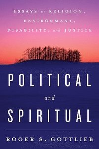 bokomslag Political and Spiritual