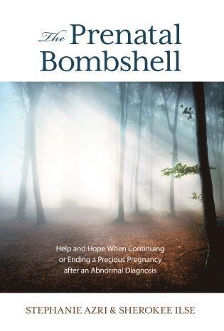 Stephanie Azri, Sherokee Ilse - Prenatal Bombshell, Inbunden