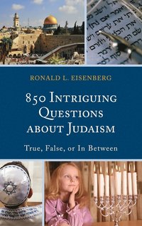 bokomslag 850 Intriguing Questions about Judaism