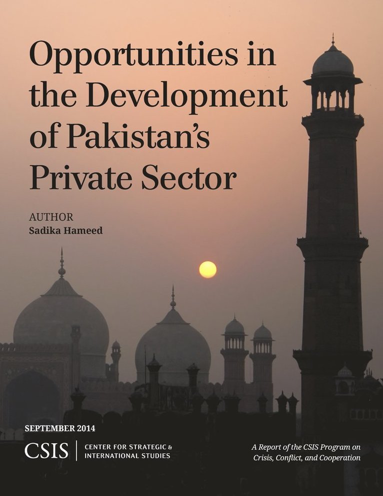 Sadika Hameed - Opportunities in the Development of Pakistan's Private Sector, Häftad