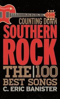 bokomslag Counting Down Southern Rock