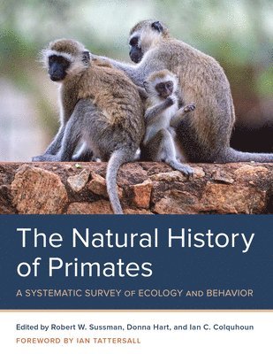Robert W. Sussman, Donna Hart, Ian C. Colquhoun - Natural History of Primates, Häftad