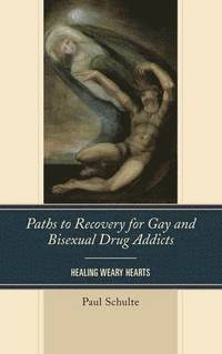 bokomslag Paths to Recovery for Gay and Bisexual Drug Addicts