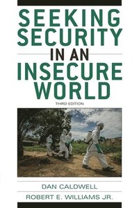 bokomslag Seeking Security in an Insecure World