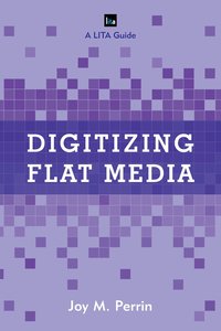 bokomslag Digitizing Flat Media