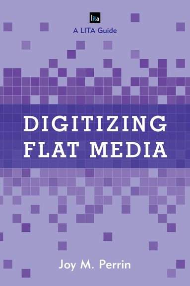 bokomslag Digitizing Flat Media