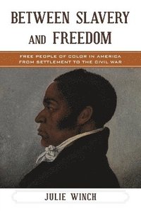 bokomslag Between Slavery and Freedom
