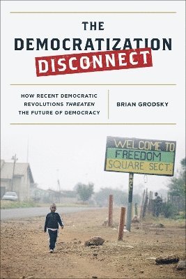 The Democratization Disconnect 1