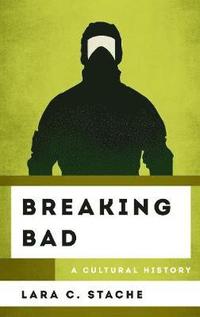 bokomslag Breaking Bad