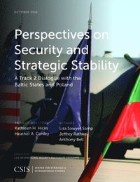 bokomslag Perspectives on Security and Strategic Stability