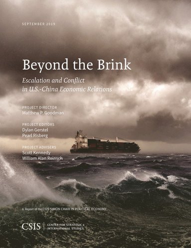 bokomslag Beyond the Brink