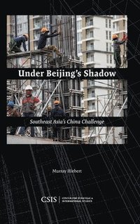 bokomslag Under Beijing's Shadow