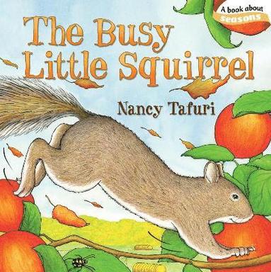 Nancy Tafuri - Busy Little Squirrel, Kartonnage