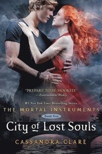 bokomslag City of Lost Souls