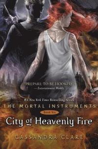 bokomslag City of Heavenly Fire