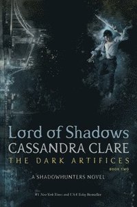 bokomslag Lord of Shadows