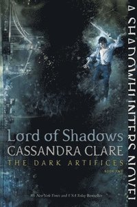 bokomslag Lord of Shadows
