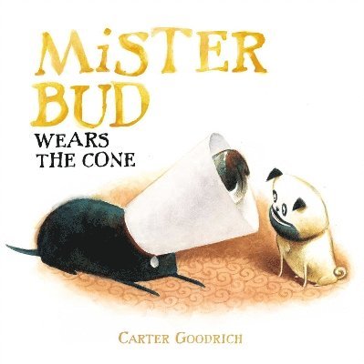 Mister Bud Wears the Cone