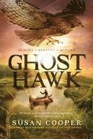 bokomslag Ghost Hawk