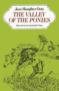 bokomslag The Valley of the Ponies