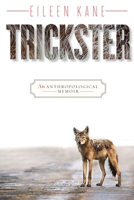 Trickster 1