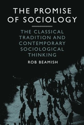 bokomslag The Promise of Sociology