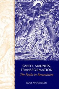 bokomslag Sanity, Madness, Transformation
