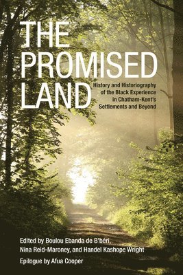Boulou Ebanda de b'Beri, Nina Reid-Maroney, Handel K. Wright, Boulou de B'Beri, Boulou De B'Beri, Handel K Wright - Promised Land, Häftad