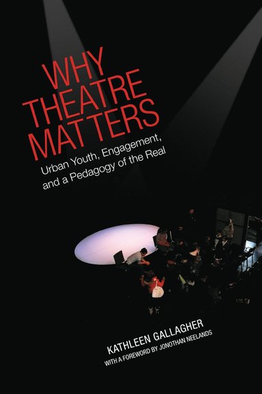 bokomslag Why Theatre Matters