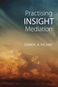 bokomslag Practising Insight Mediation