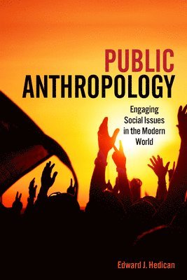 bokomslag Public Anthropology